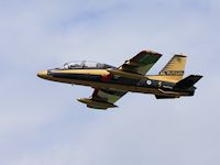 Al Fursan, RIAT 2012 - pic by Nigel Key