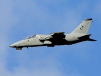 AMX International AMX, RIAT 2014 - pic by Nigel Key