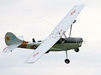 Cessna O-1E 'Bird Dog', Old Warden 2008 - pic by Nigel Key