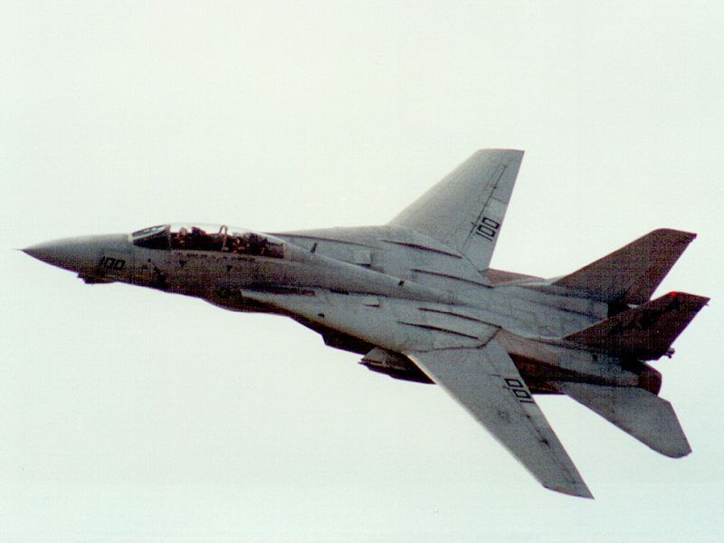 Grumman F-14 'Tomcat'
