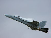 McDonnell Douglas F/A-18 'Hornet', RIAT 2017 - pic by Nigel Key